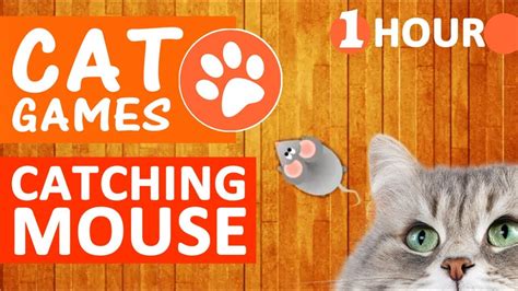 Cat Games Catching Mouse ★ Entertainment Game For Cats To Watch Mice