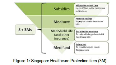 Composed of 13 private hospitals, ten government hospitals and a number of specialist clinics, singapore's healthcare system ensures that all singaporeans have access to affordable. research-journal-economics-Healthcare