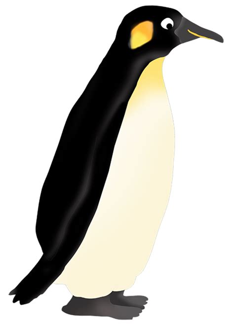 Download High Quality Penguin Clipart Realistic Transparent Png Images