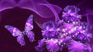 Purple, Butterfly, Near, Flowers, With, White, Sparkles, Hd