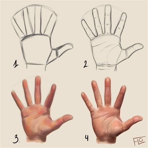 How To Draw A Hand In Adobe Illustrator Lemp