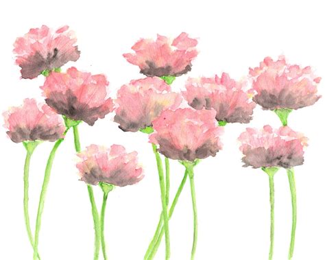 Nature Watercolor Flowers Painting Pink Poppies Abstract