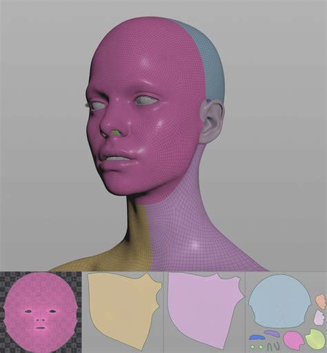 Realistic Human 3d Model The Skin Anatomy For Sculptors