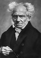 Arthur Schopenhauer - Philosopher, Frankfurt, Pessimism | Britannica