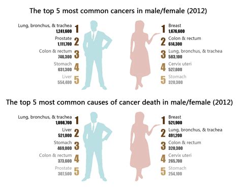 The Most Common Cancer Types Hubpages Vrogue Co