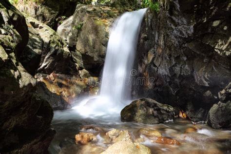 Mountain Waterfall Flows Among Green Forest And Runs Down The Beautiful