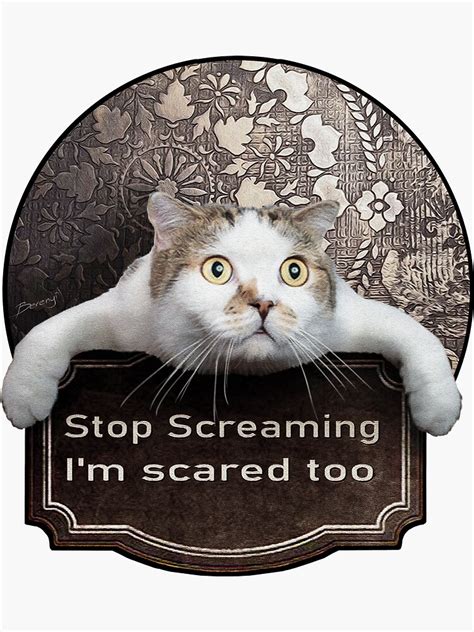 Stop Screaming Im Scared Too Sticker For Sale By Berenyiarts Redbubble