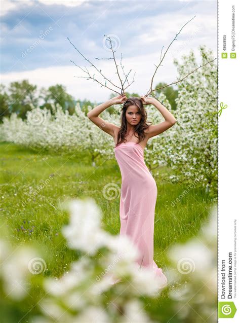 Girl With The Blossoming Apple Trees Stock Image Image Of Adult