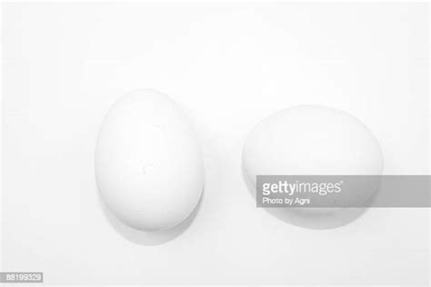 Two White Eggs Photos And Premium High Res Pictures Getty Images