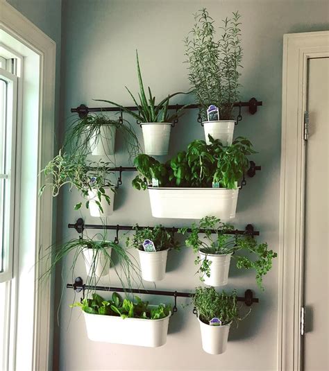 Indoor Herb Gardens On Instagram For The Kitchen Wellgood Herb