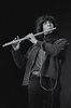 Andy Kulberg Playing Flute Upright Photograph by Jill Gibson - Fine Art ...