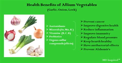 Health Benefits Of Allium Vegetables Md Inspired