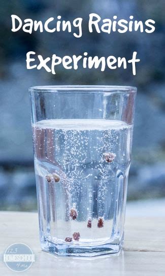 Dancing Raisins Science Experiment Worksheet