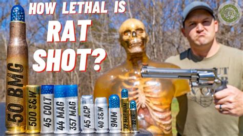 How Lethal Is Rat Shot 🐀 Youtube