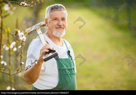 Portrait Eines Gut Aussehend älterer Mann Im Garten Lizenzfreies Bild 13964527