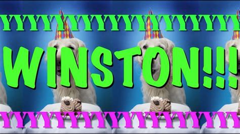 Happy Birthday Winston Epic Happy Birthday Song Youtube