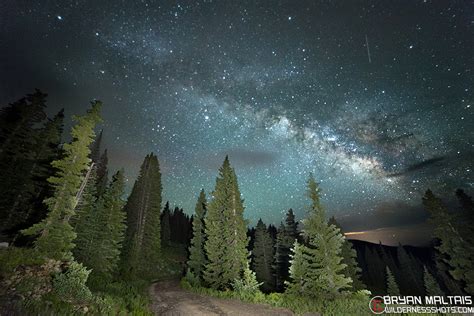 Milky Way Pine Forest