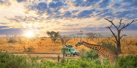 25 Of Africa’s Most Amazing Places To Visit Traveler By Unique