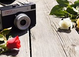 roses, Camera, photographic - Flowers wallpapers: 1920x1407