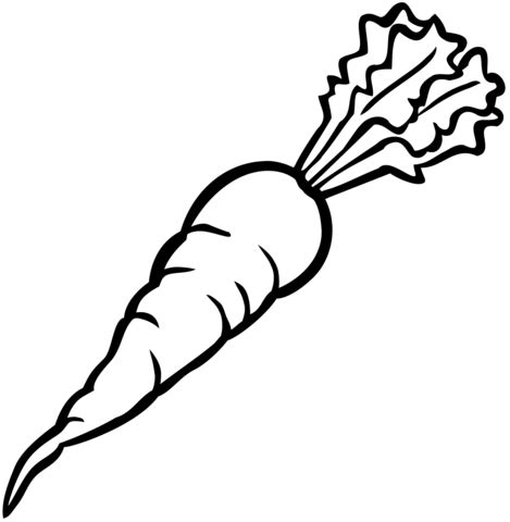 Maybe you would like to learn more about one of these? Carrot coloring page | Free Printable Coloring Pages