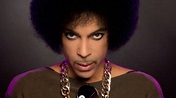 Prince Through the Ages - Hooked On Everything