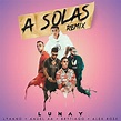 Lunay Ft. Lyanno, Anuel AA, Brytiago y Alex Rose - A Solas Remix Audio ...