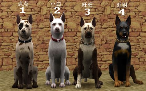 Mod The Sims 4 Jiangzhe Dogs