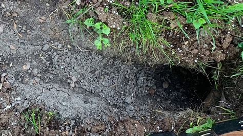 What The F Is In That Hole In My Yard Youtube