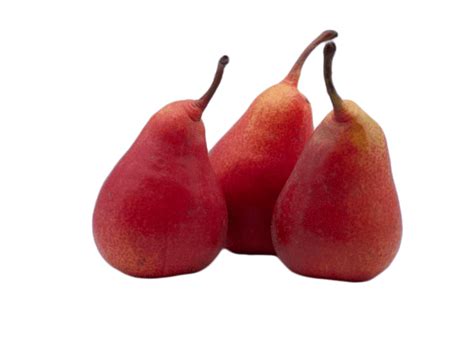 Pears Conference Six Pieces 6 Approx 1kg Cambridge Fruit Company