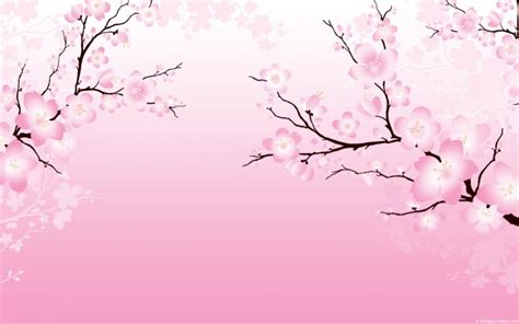 42 Sakura Blossom Wallpaper On Wallpapersafari