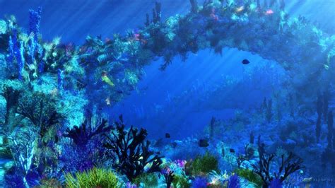 Ocean Tropical Fish Underwater Wallpaper 1920x1080