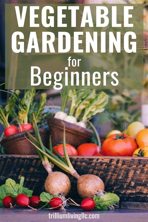 How To Start A Vegetable Garden 8 Easy Steps Trillium Living