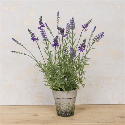 Artificial Potted Lavender Floralsilk