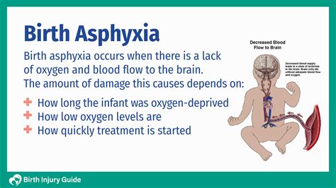 What Is The Other Name For Asphyxia Fabalabse
