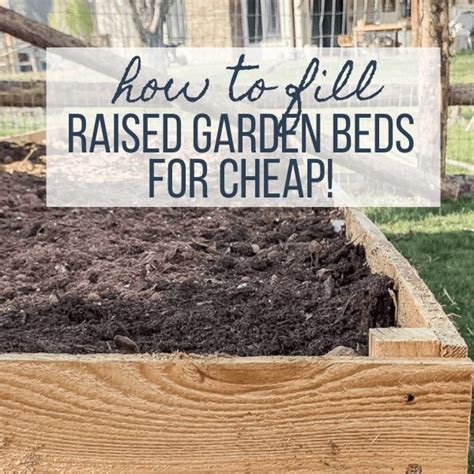 How To Fill A Raised Garden Bed And Save On Soil Cheap Raised Garden