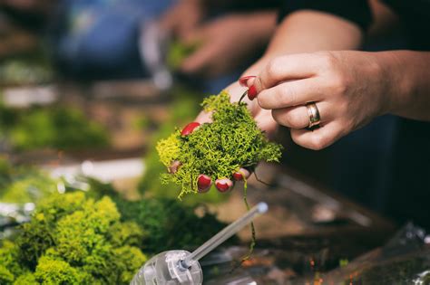 Whispers of flowers : Warsztaty