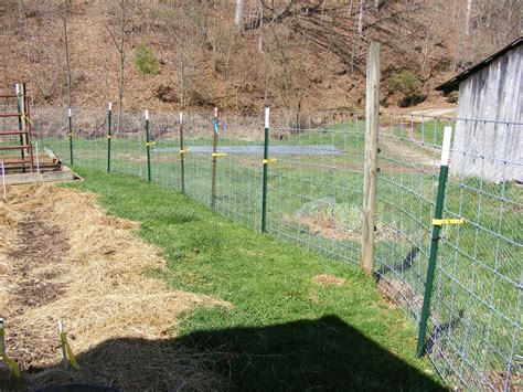 Intermittent Farm Report Garden Fencing Let Me Count The Ways