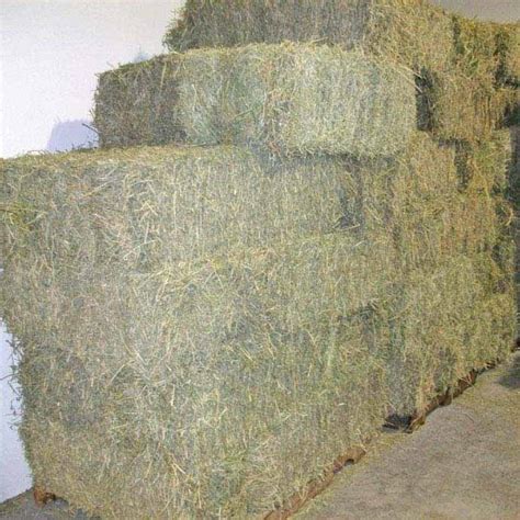 Hay Bale 5 Whispering Ranches Feed