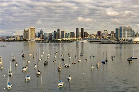 Aerial View Of San Diego Boat Harbor And City Stock Photo Image Of