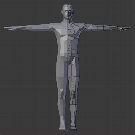 3d Anatomy Reference