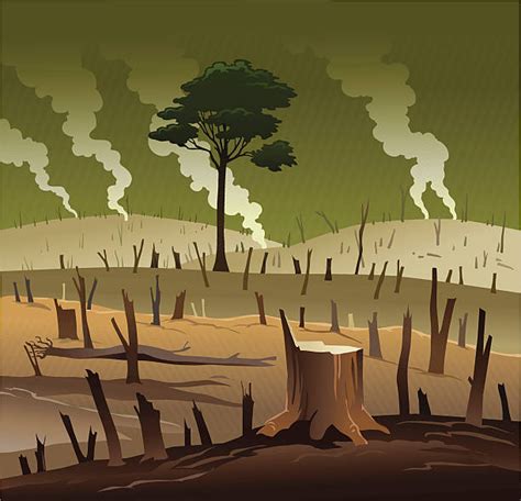 Deforestation High Res Illustrations In 2023 Earth Drawings World