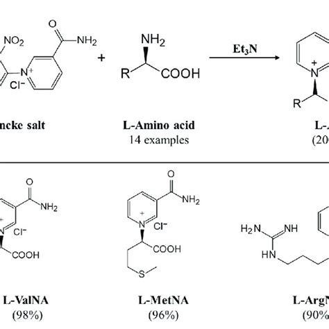 Synthesis Of Proteogenic Amino Acid Based Mnads Download Scientific Diagram