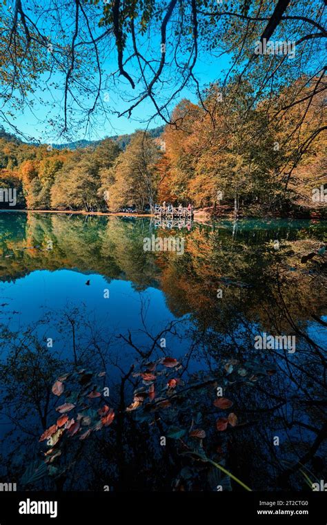 Bolu Turkey October 16 2023 Autumn Forest Landscape Reflection On