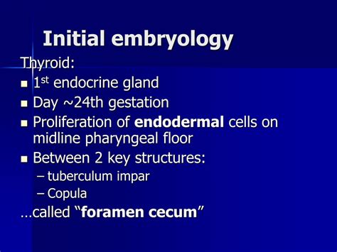 Ppt Thyroid Embryology Powerpoint Presentation Free Download Id463689