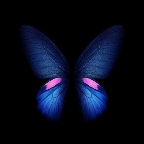 Download Samsung Galaxy Fold Wallpapers Leaked From One Ui 12