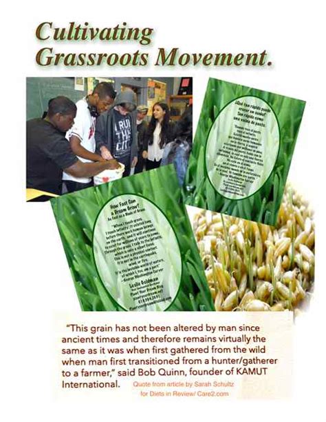 Cultivating A Grassroots Movement 2 Medium On Curezone Image Gallery