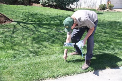 5 Benefits Of Using Lawn Care Companies