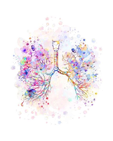 Bronchial Tree Watercolor Lungs Anatomy Bronchi Trachea Etsy In 2021