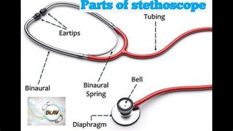Parts Of Stethoscope In Hindi Stethoscope Ke Parts Youtube