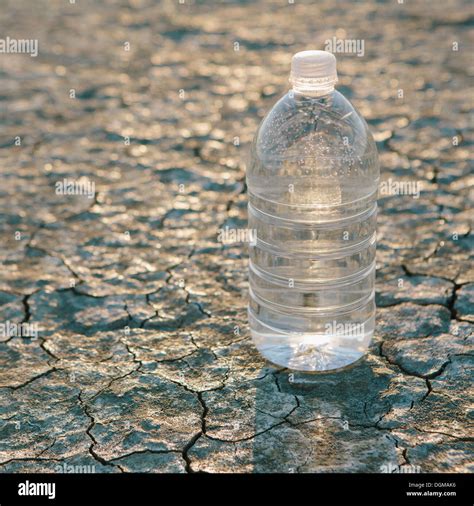 The Landscape Of The Black Rock Desert In Nevada A Bottle Of Water